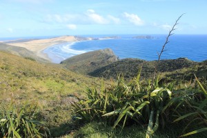 Cape Reinga-055